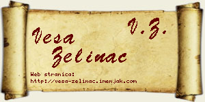Vesa Zelinac vizit kartica